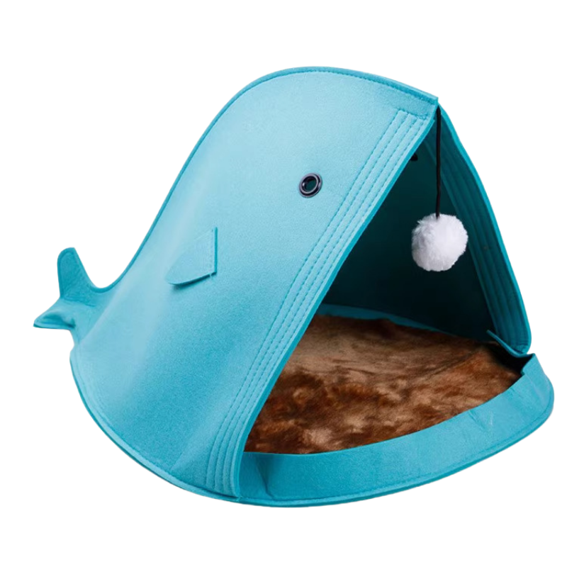 WhaleNest