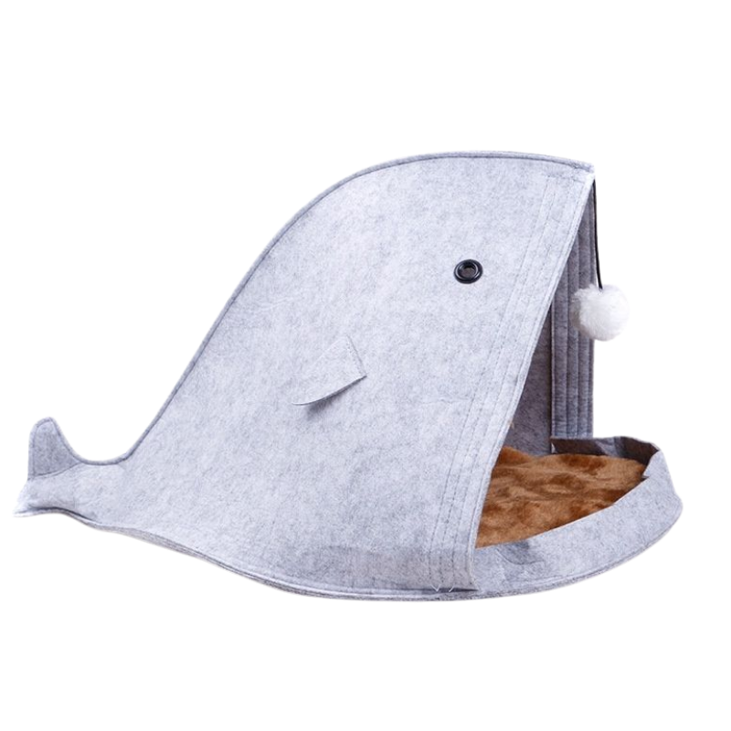WhaleNest
