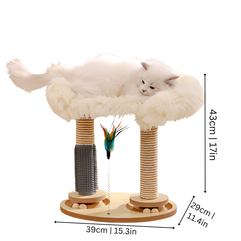 KittyKorner