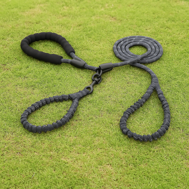 PowerLeash