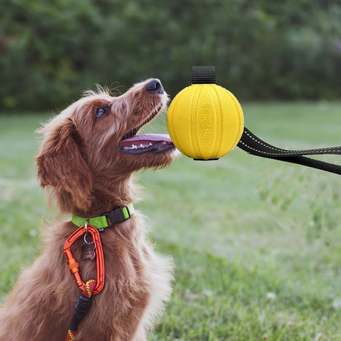 ChompCord