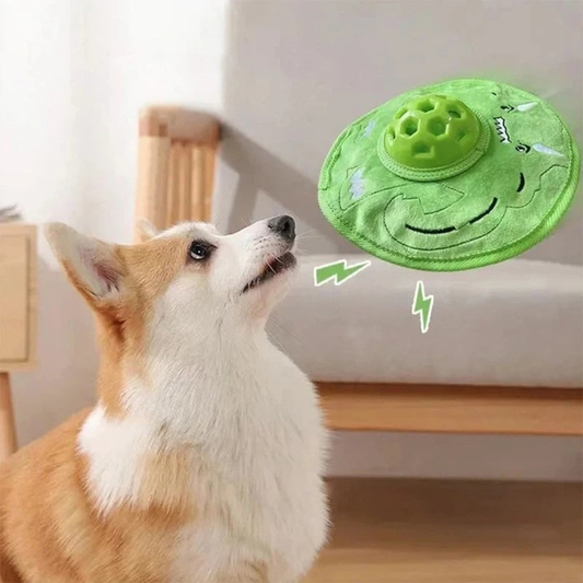 SpinFetch