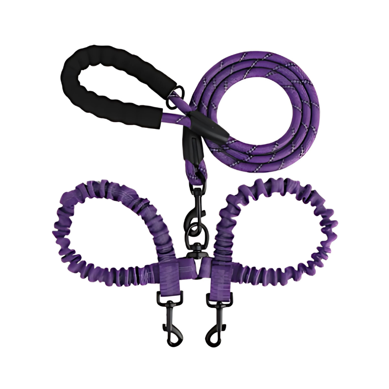 PowerLeash