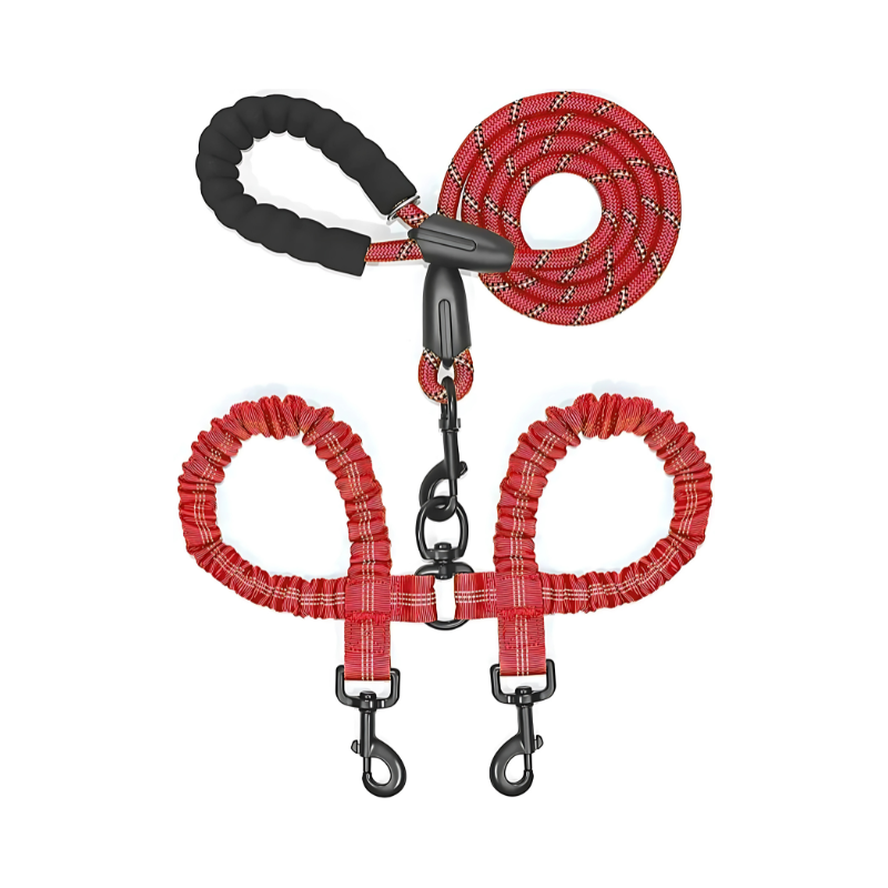 PowerLeash