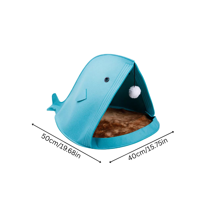 WhaleNest