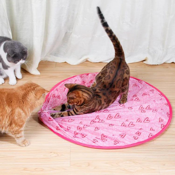 Happy brilliant cat hot sale mat