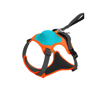 WalkMate