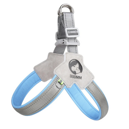 StrapSafe