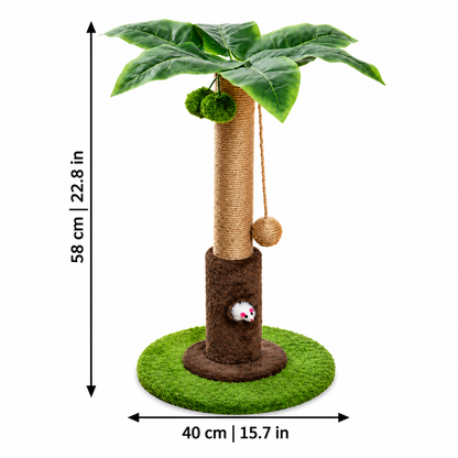 PurrPalm