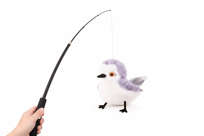 FlapFrenzy