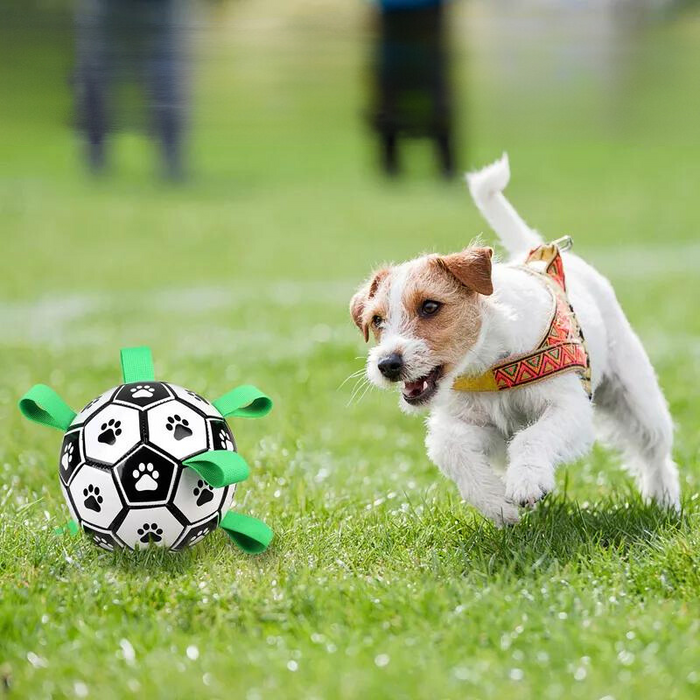 Puppy online soccer ball
