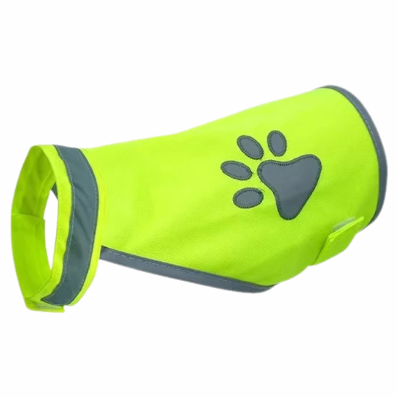PawBeacon