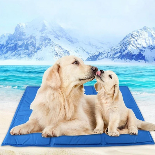ChillPaws