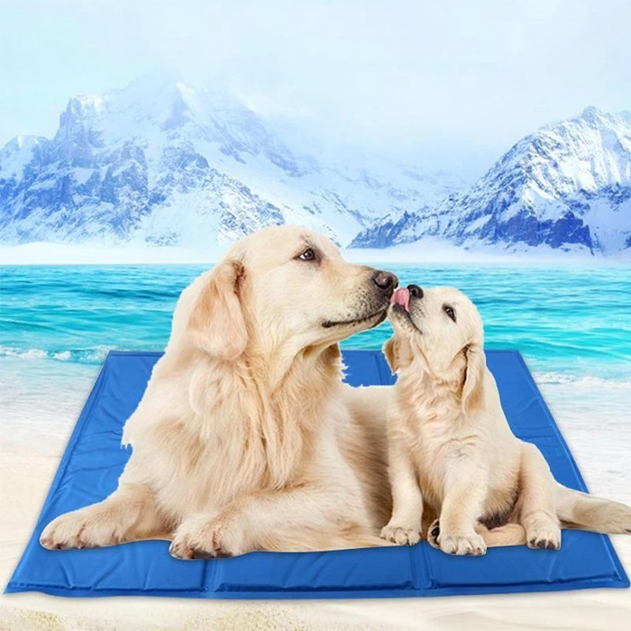 ChillPaws