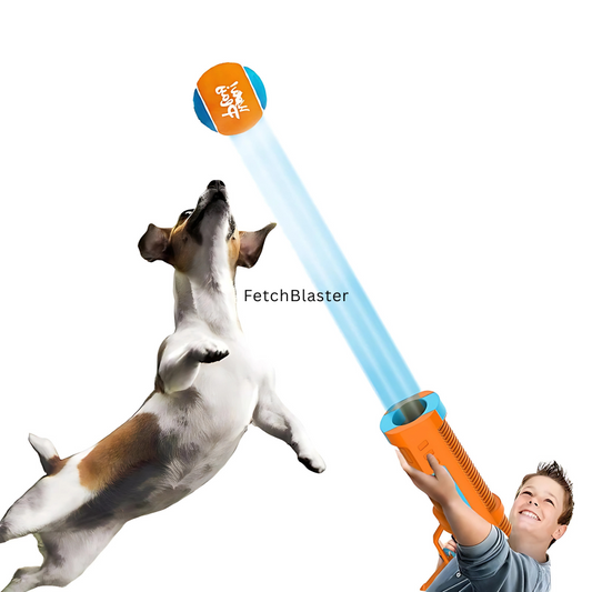 FetchBlaster