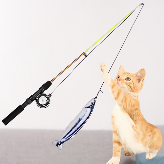 WhiskerCast