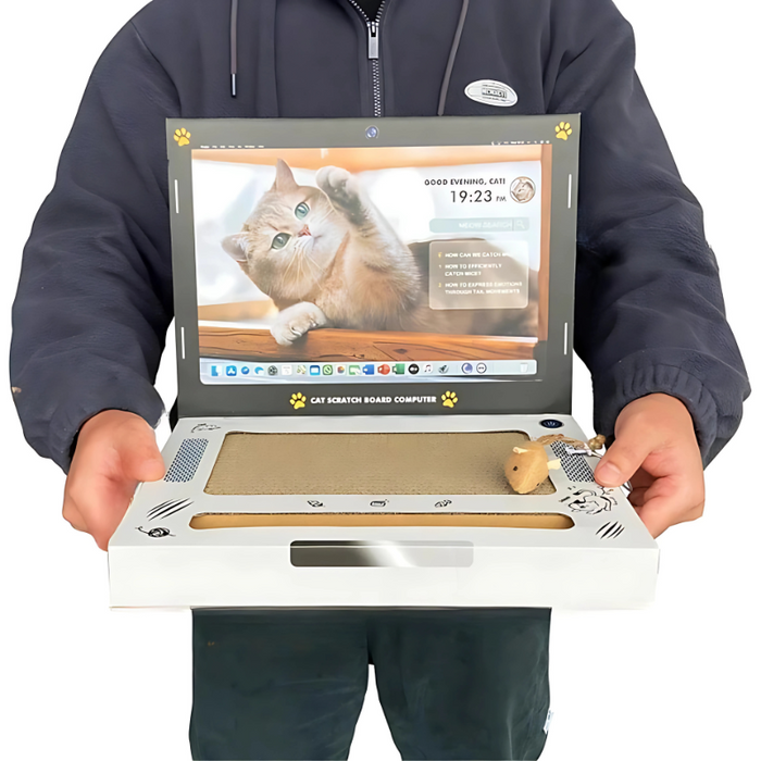 ScratchTop