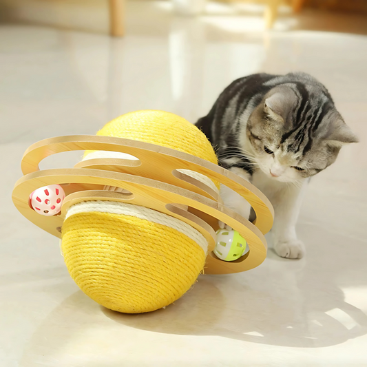 OrbitWhirl