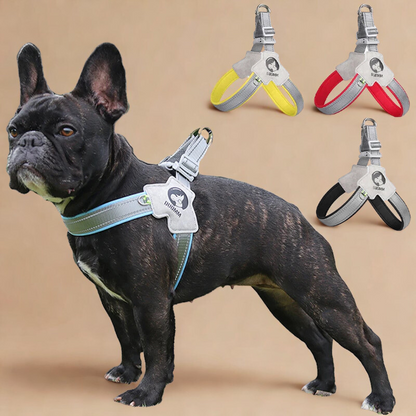StrapSafe