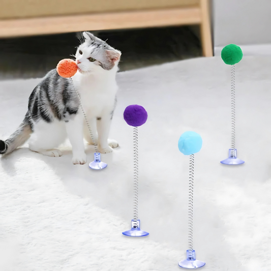 SpringWhisk