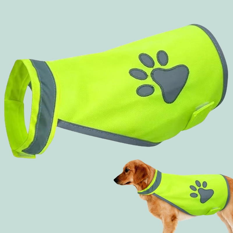 PawBeacon