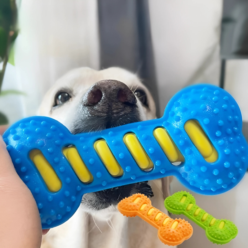 ChompBuddy