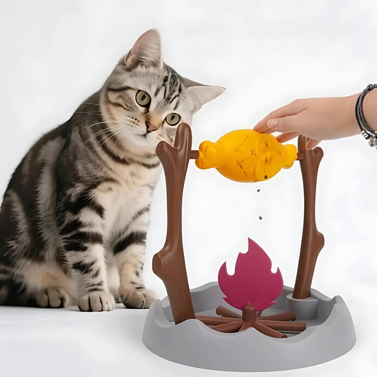 CampNibble