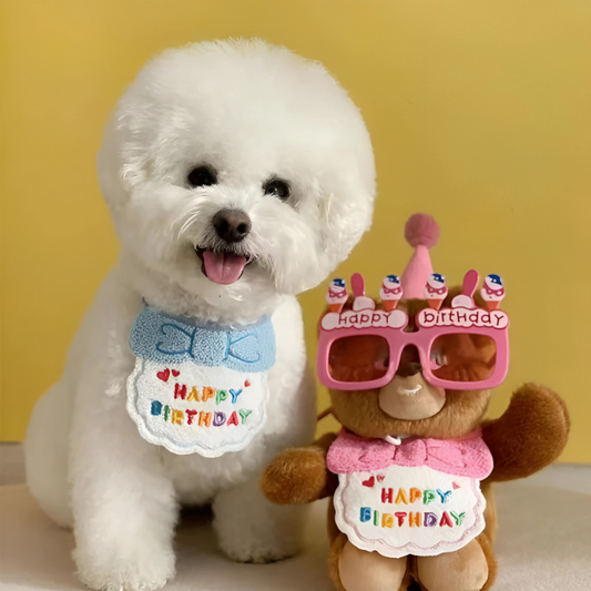 PawtyPup
