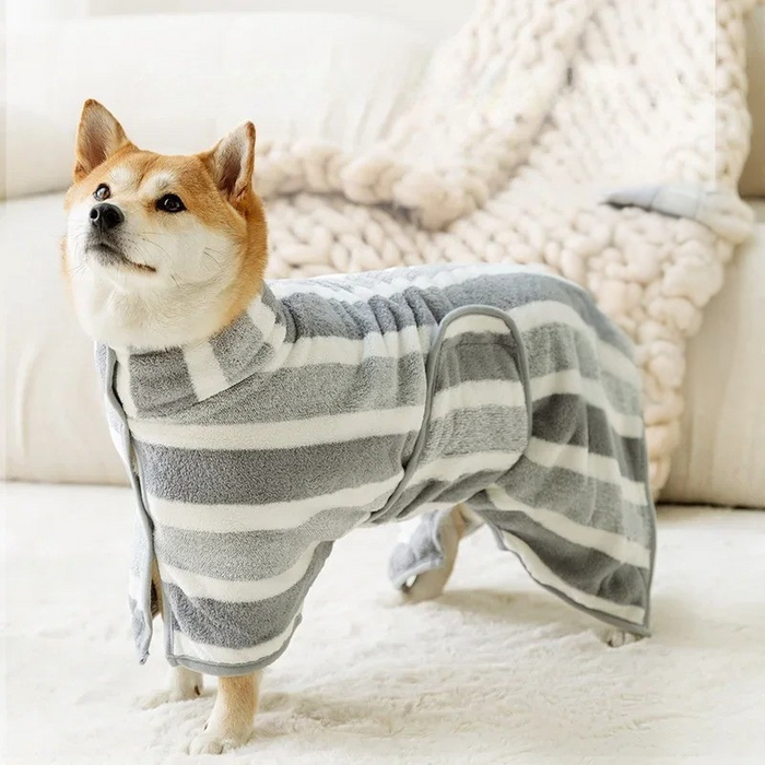 DryHound