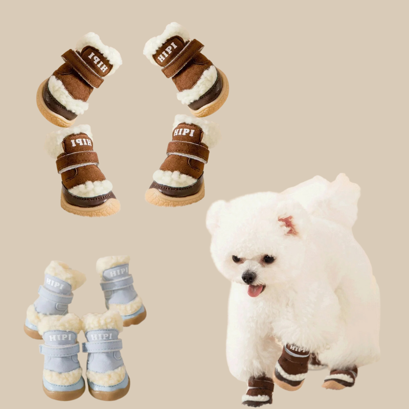 PawFrost