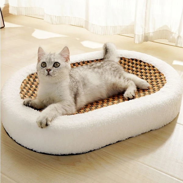 Cat scratcher best sale lounge