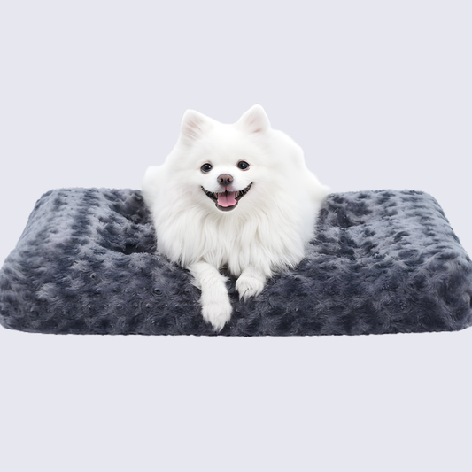 CozyLounge