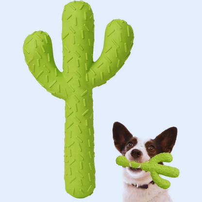 ChewCactus