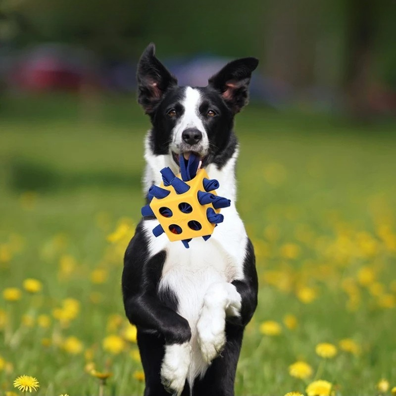 RubikPaws – Happy-Poppy