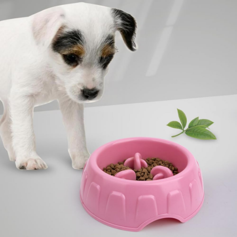 PacePet