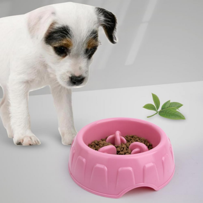 PacePet