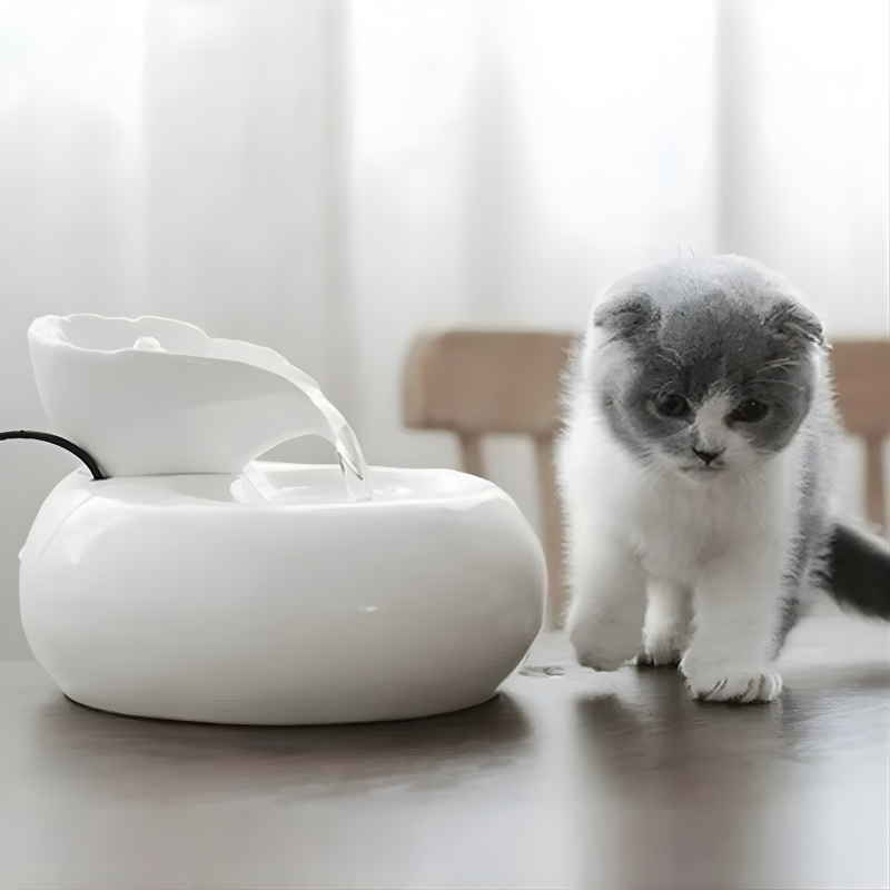 PurrSpring