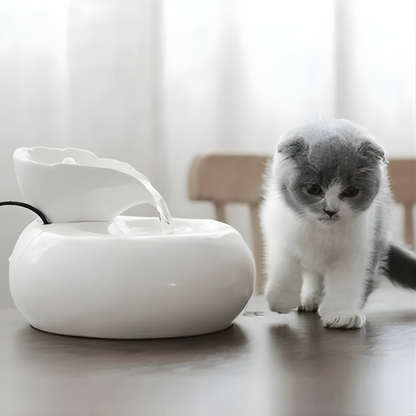 PurrSpring