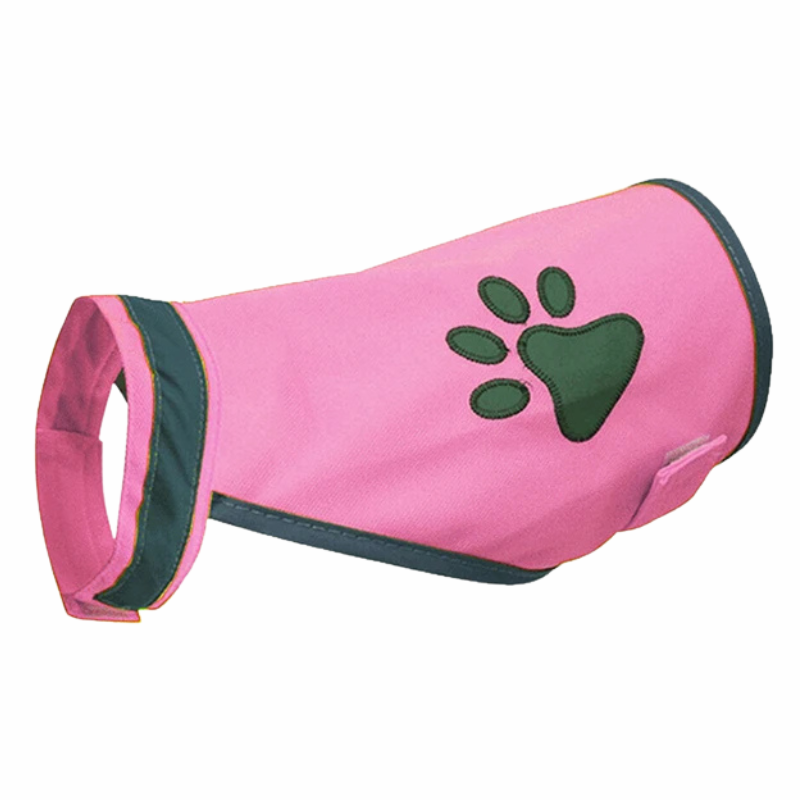 PawBeacon