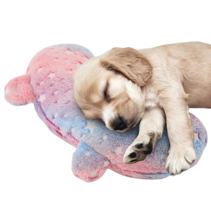 DreamCuddle