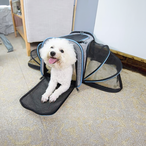 Pet carrier online for sale