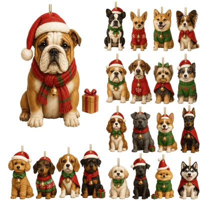 PawAdvent