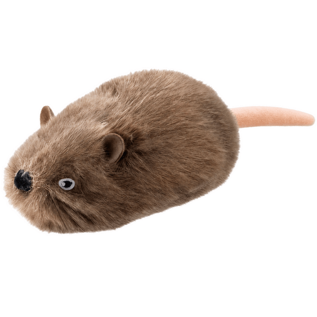 ZoomCritter