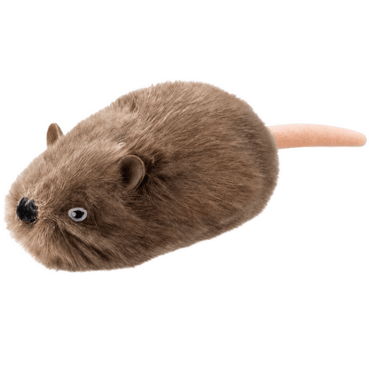 ZoomCritter