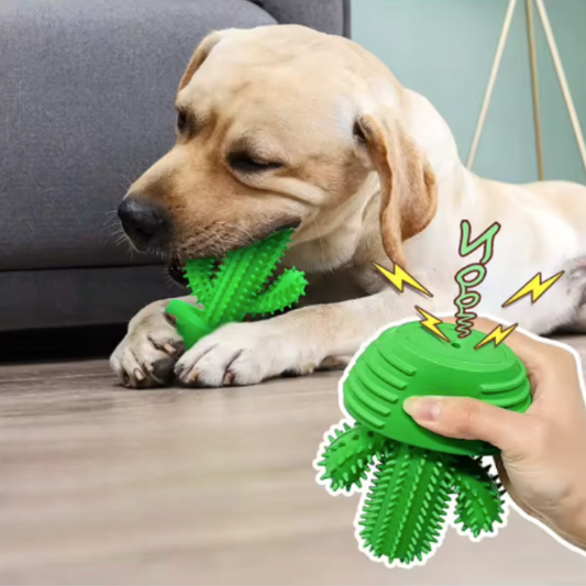 ChewDent