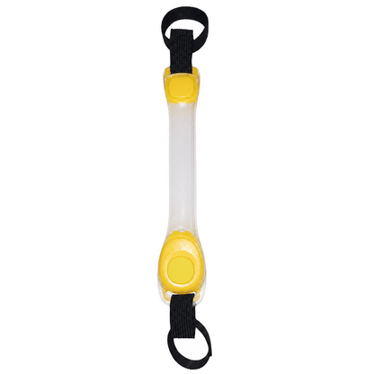 NightPaw